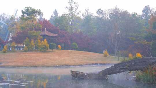 杭州太子湾公园冬天湖面浩气