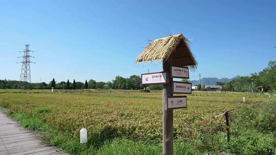 浙江金华浦江上山文化遗址公园