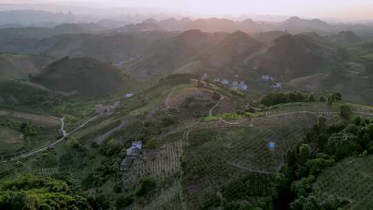 广西桂林阳朔百里金桔种植基地航拍