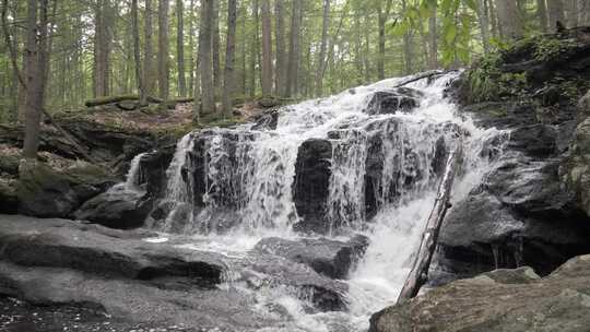 树林岩石高山瀑布流水