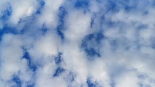 棉花状积云在天空中