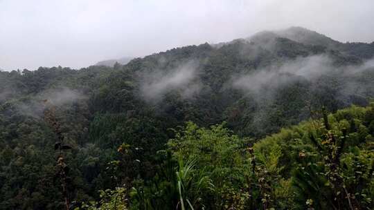 大山深处云雾延时