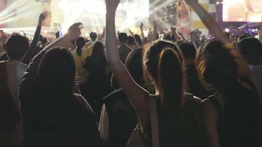 音乐节演唱会年轻人排队挥舞双手