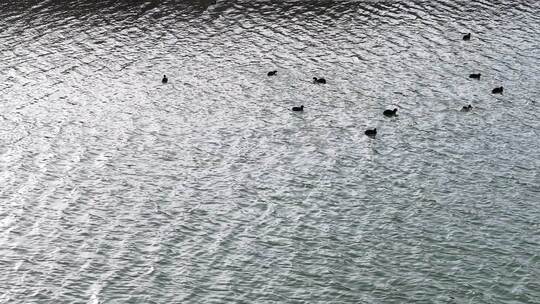 航拍 航拍河流 河流 冬季 冬季河流