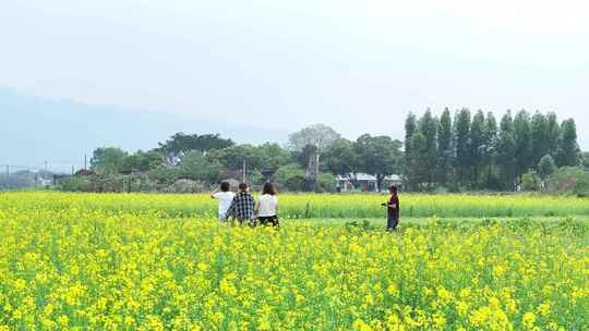 广东省韶关市曲江区樟市镇群星村