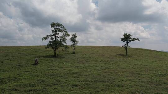 寻甸县草场1