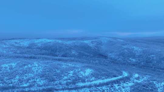 航拍晨曦蓝调林海雪原