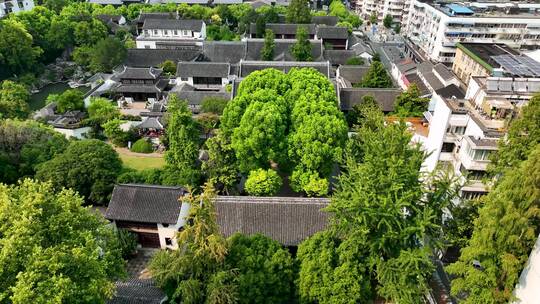 航拍南京夫子庙景区瞻园景点