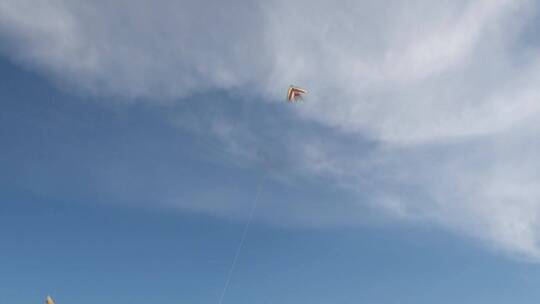 天空中放飞的风筝
