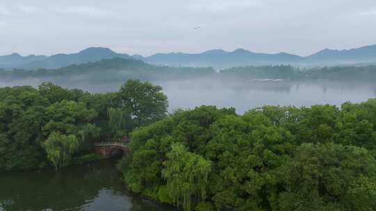 杭州西湖夏天风光