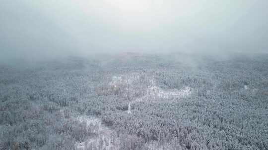 航拍冬季雪景森林河流