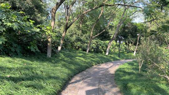 4k 公园林荫树下散步
