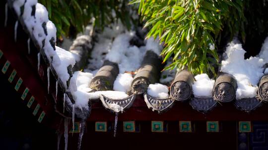 4K雪后初晴的竹子与古建筑