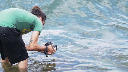 年轻人在亚马逊河拍摄河豚（巴西）