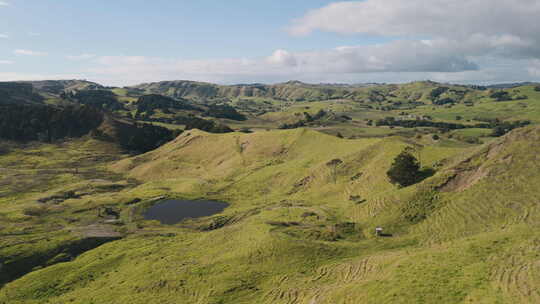 新西兰草原 新西兰牧场
