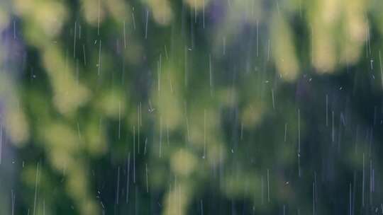 下雨雨天细雨雨景