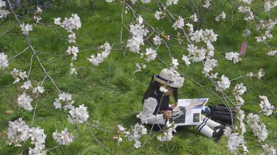 樱花树下小女孩安静阅读画册