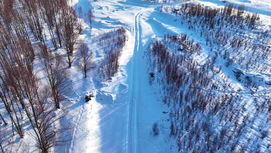 大兴安岭早春雪原红柳小路