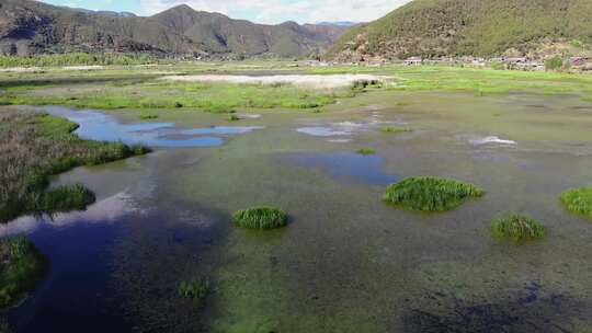 云南航拍泸沽湖草海湿地