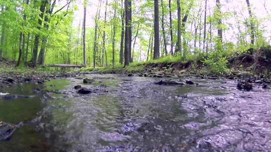 春天 森林里缓缓流淌的小溪