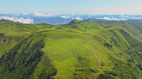 航拍千坝牧场