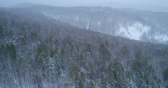 航拍大兴安岭春季降雪山林雾凇