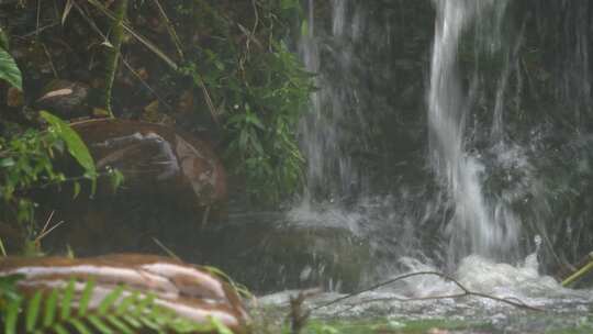 暴雨天的公园假山瀑布流水