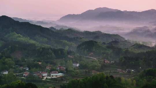 江塝茗园茶园