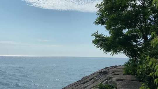 从有植物和树木的石墙看海景