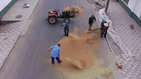俯拍农村街道清洁小麦