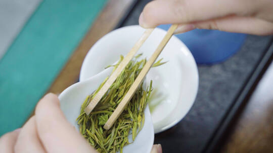 采茶与茶叶冲泡过程