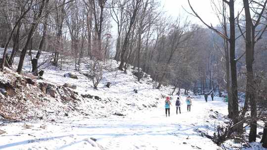 泉水  大山里  冬天