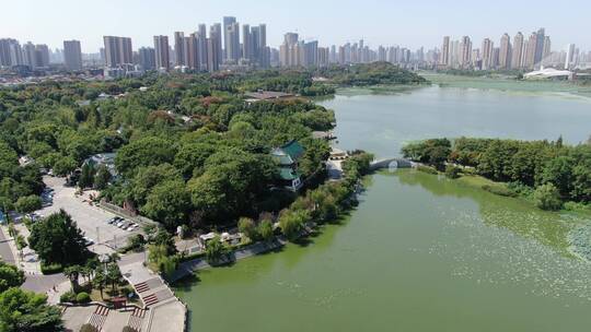 航拍湖北武汉月湖沙湖东湖风景区