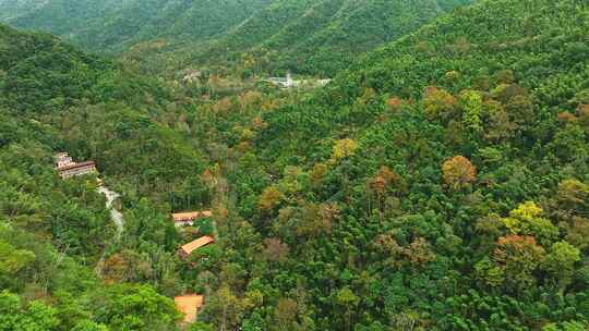 靖安隐仙谷山区8