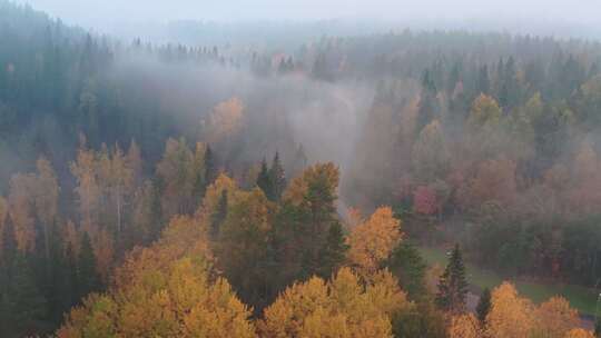 航拍云雾缭绕的森林视频素材模板下载