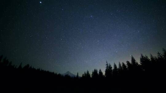 冷杉和松树林的黑暗剪影映衬着星空和白雪
