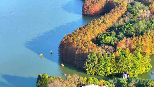 上海奉贤海湾国家森林公园