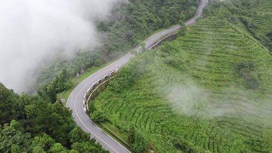 航拍迷雾中的南岳衡山景区盘山公路