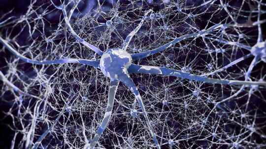 大脑神经元神经细胞活动