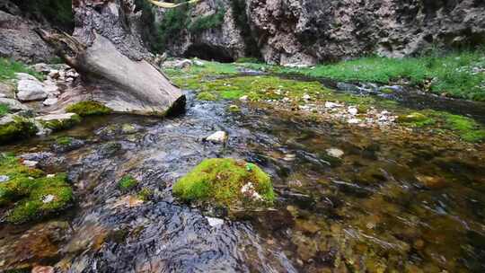 绿色小溪流水