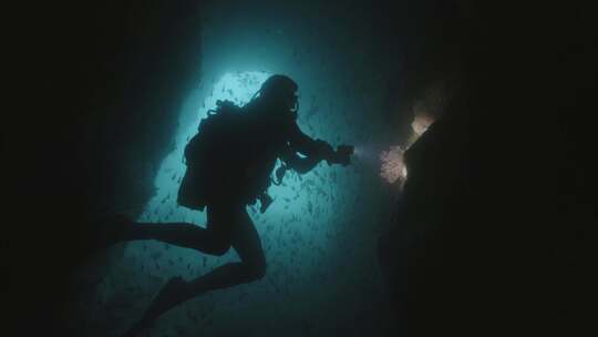 水肺潜水，潜水员，洞穴，鱼