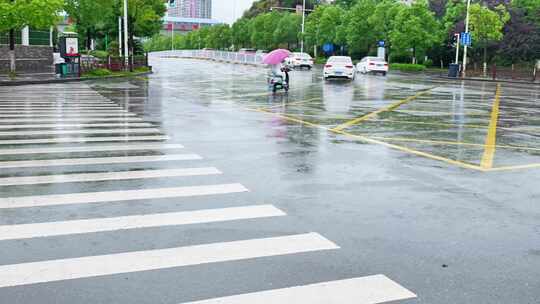 夏天夏季植物树叶上面的雨滴下雨