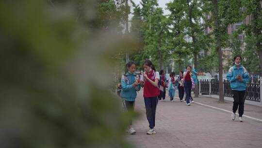 【原创】学生放学后走在路上