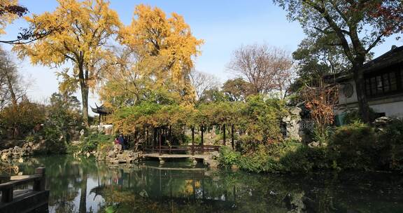 秋天苏州留园金黄银杏秋景