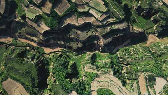 邙山梯田