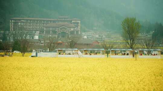 金海雪山空境