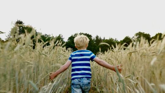 小男孩奔跑在麦田里。