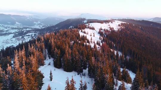 翻过一座覆盖着白雪和松树的山