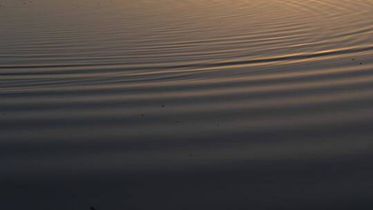 平静水面的波浪涟漪