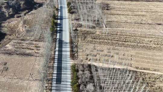 航拍乡村公路田野景象